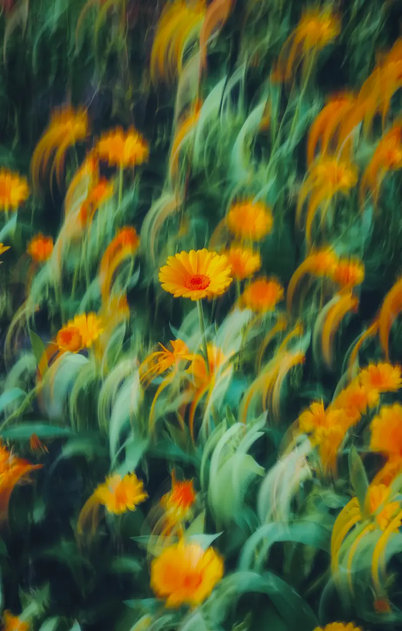 The easiest Leetcode Medium is harder than it looks: A lesson on concurrency